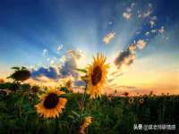 山西瑞蕙昌新型建材有限公司