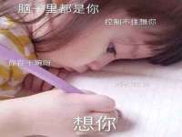 山西瑞蕙昌新型建材有限公司