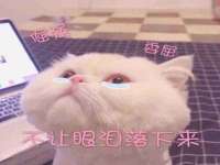 山西瑞蕙昌新型建材有限公司