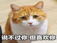 山西瑞蕙昌新型建材有限公司