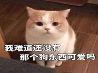 山西瑞蕙昌新型建材有限公司