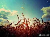 山西瑞蕙昌新型建材有限公司