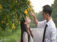 山西瑞蕙昌新型建材有限公司