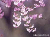 山西瑞蕙昌新型建材有限公司