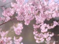 山西瑞蕙昌新型建材有限公司