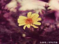 山西瑞蕙昌新型建材有限公司