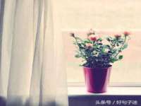 山西瑞蕙昌新型建材有限公司