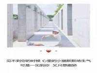 山西瑞蕙昌新型建材有限公司