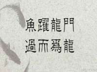 山西瑞蕙昌新型建材有限公司