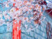 山西瑞蕙昌新型建材有限公司