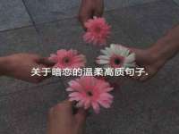 山西瑞蕙昌新型建材有限公司
