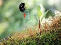 山西瑞蕙昌新型建材有限公司