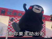 山西瑞蕙昌新型建材有限公司