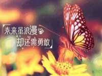 山西瑞蕙昌新型建材有限公司