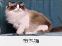 山西瑞蕙昌新型建材有限公司