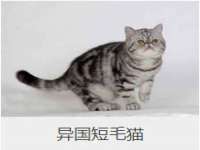 山西瑞蕙昌新型建材有限公司