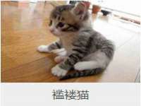 山西瑞蕙昌新型建材有限公司