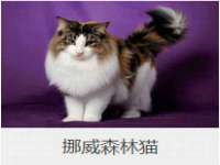 山西瑞蕙昌新型建材有限公司