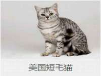 山西瑞蕙昌新型建材有限公司