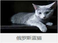 山西瑞蕙昌新型建材有限公司