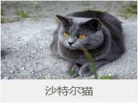 山西瑞蕙昌新型建材有限公司