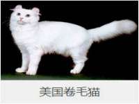 山西瑞蕙昌新型建材有限公司
