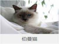 山西瑞蕙昌新型建材有限公司
