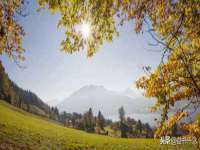 山西瑞蕙昌新型建材有限公司