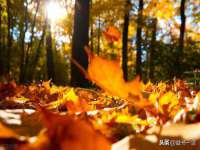 山西瑞蕙昌新型建材有限公司