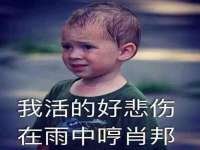 山西瑞蕙昌新型建材有限公司
