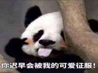 山西瑞蕙昌新型建材有限公司
