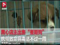 山西瑞蕙昌新型建材有限公司