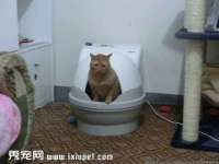 山西瑞蕙昌新型建材有限公司