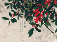 山西瑞蕙昌新型建材有限公司