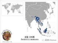 山西瑞蕙昌新型建材有限公司