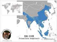 山西瑞蕙昌新型建材有限公司
