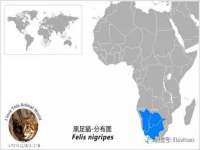 山西瑞蕙昌新型建材有限公司