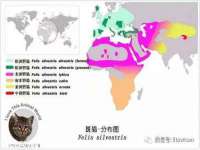 山西瑞蕙昌新型建材有限公司