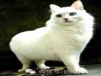 山西瑞蕙昌新型建材有限公司