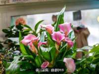 山西瑞蕙昌新型建材有限公司