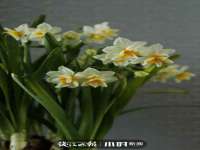 山西瑞蕙昌新型建材有限公司