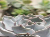 山西瑞蕙昌新型建材有限公司