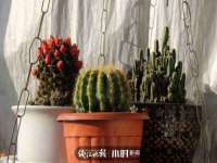 山西瑞蕙昌新型建材有限公司