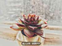 山西瑞蕙昌新型建材有限公司