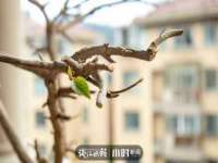 山西瑞蕙昌新型建材有限公司