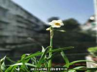 山西瑞蕙昌新型建材有限公司