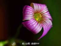山西瑞蕙昌新型建材有限公司