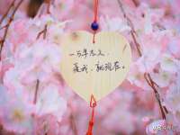 山西瑞蕙昌新型建材有限公司