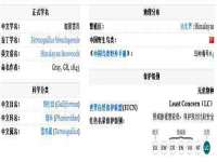 山西瑞蕙昌新型建材有限公司