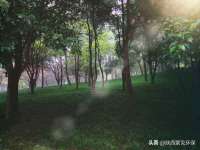山西瑞蕙昌新型建材有限公司